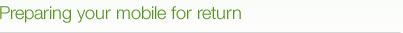 Preparing your mobile for return